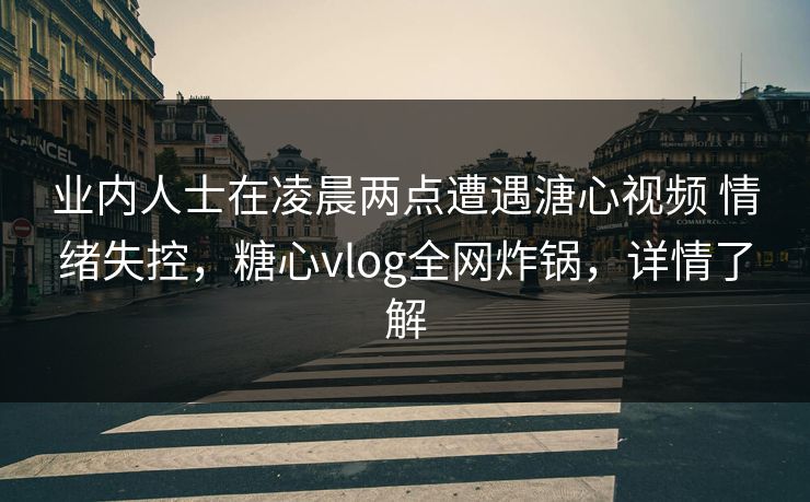 业内人士在凌晨两点遭遇溏心视频 情绪失控，糖心vlog全网炸锅，详情了解