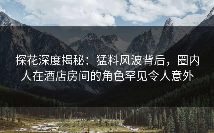 探花深度揭秘：猛料风波背后，圈内人在酒店房间的角色罕见令人意外