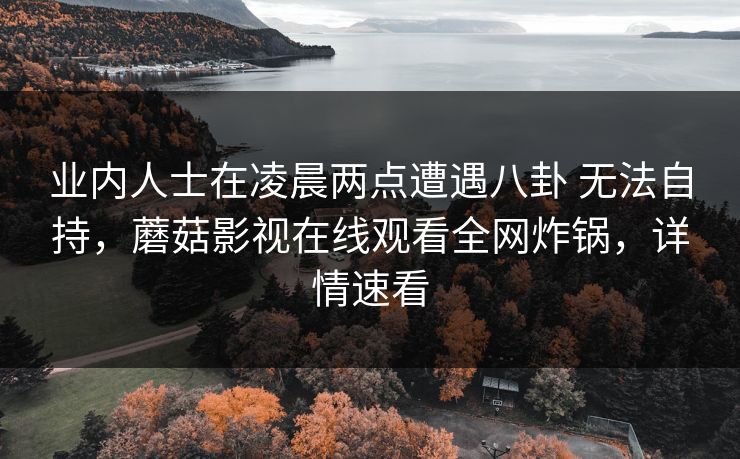 业内人士在凌晨两点遭遇八卦 无法自持，蘑菇影视在线观看全网炸锅，详情速看